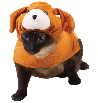 dog_costume_for_cats