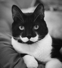 afd5b8f6663bf4e535357b9af5a45330