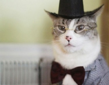 "Well said! Oh that's jolly good."