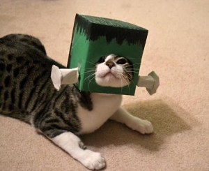 Frankencat-l1