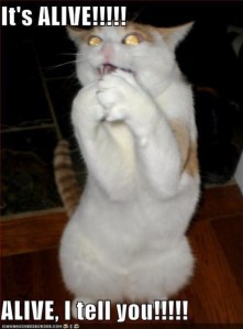 Its_alive_cat