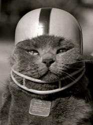 "I've worked too hard for you to ruin this with a homophone error."