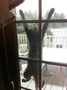 And I think she wants back in...